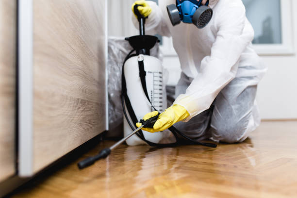 Best Local Pest Control Services  in Latta, OK