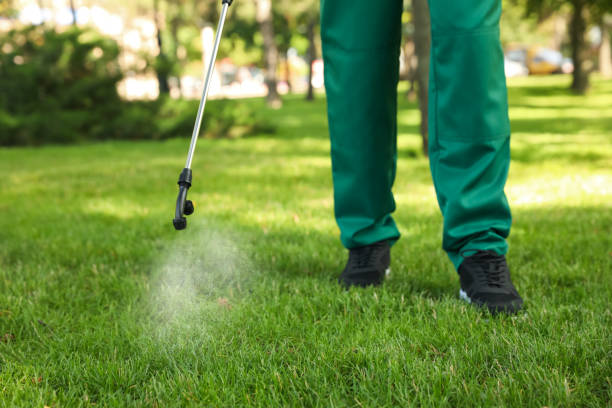 Best Emergency Pest Control  in Latta, OK