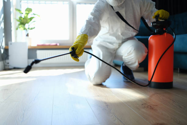 Best Flea Control Services  in Latta, OK