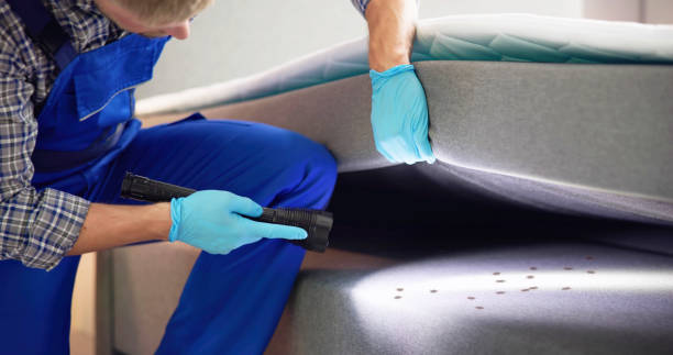 Best Mosquito Control Services  in Latta, OK