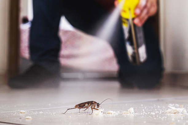Best Residential Pest Control  in Latta, OK