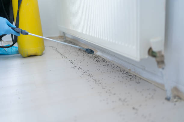 Best Best Pest Control Companies  in Latta, OK