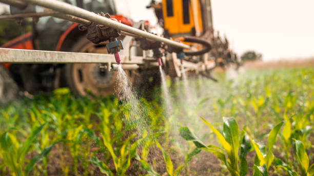Best Wildlife Control Services  in Latta, OK